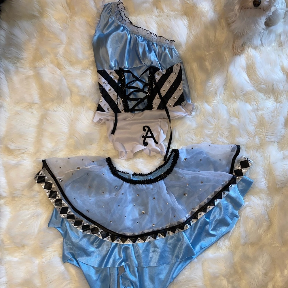 Custom Alice in Wonderland Costume